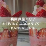 【リビングオーガニックス 】兵庫芦屋の苺パフェが人気のカフェ【LIVING ORGANICS】