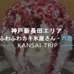 【神戸新長田】六花(リッカ)は人気のカキ氷屋さん【Rikka 駒ヶ林】