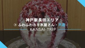 【神戸新長田】六花(リッカ)は人気のカキ氷屋さん【Rikka 駒ヶ林】