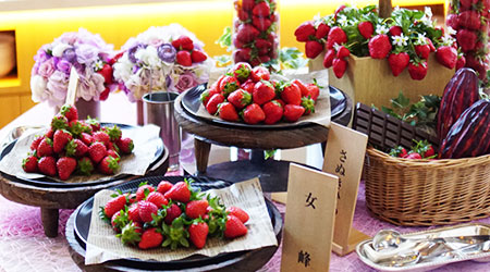 帝国ホテル大阪 苺スイーツブフェ ～ショコラとの饗宴～