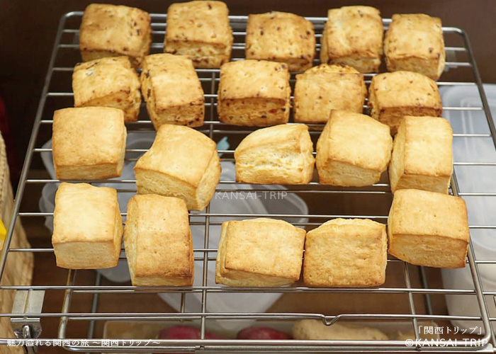 大阪 森のラクダ ランチ