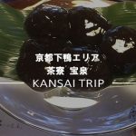 【茶寮 宝泉】日本庭園を見ながら楽しむ本物のわらび餅【京都下鴨】