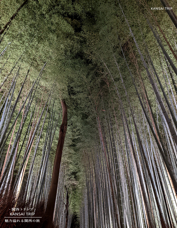 最後の嵐山花灯路