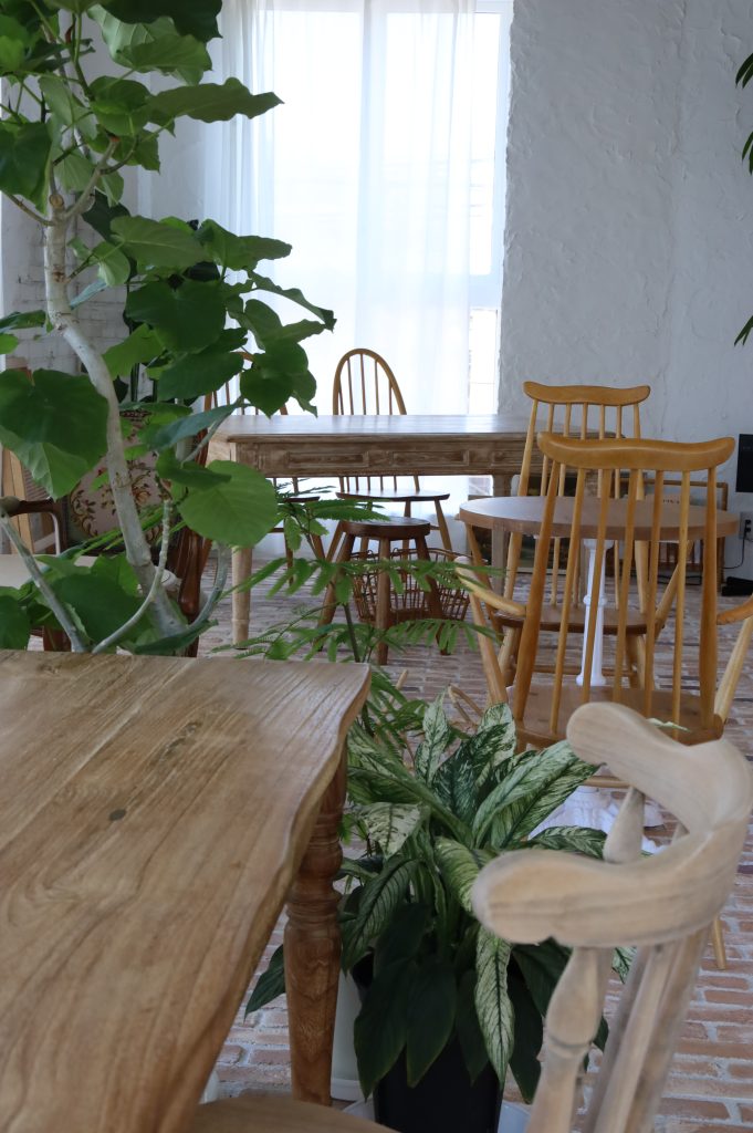 Pavlova  studios 京都