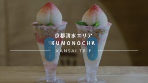 【雲ノ茶 KUMONOCHA】清水寺周辺で可愛い雲の和スイーツとかき氷！【京都清水道】