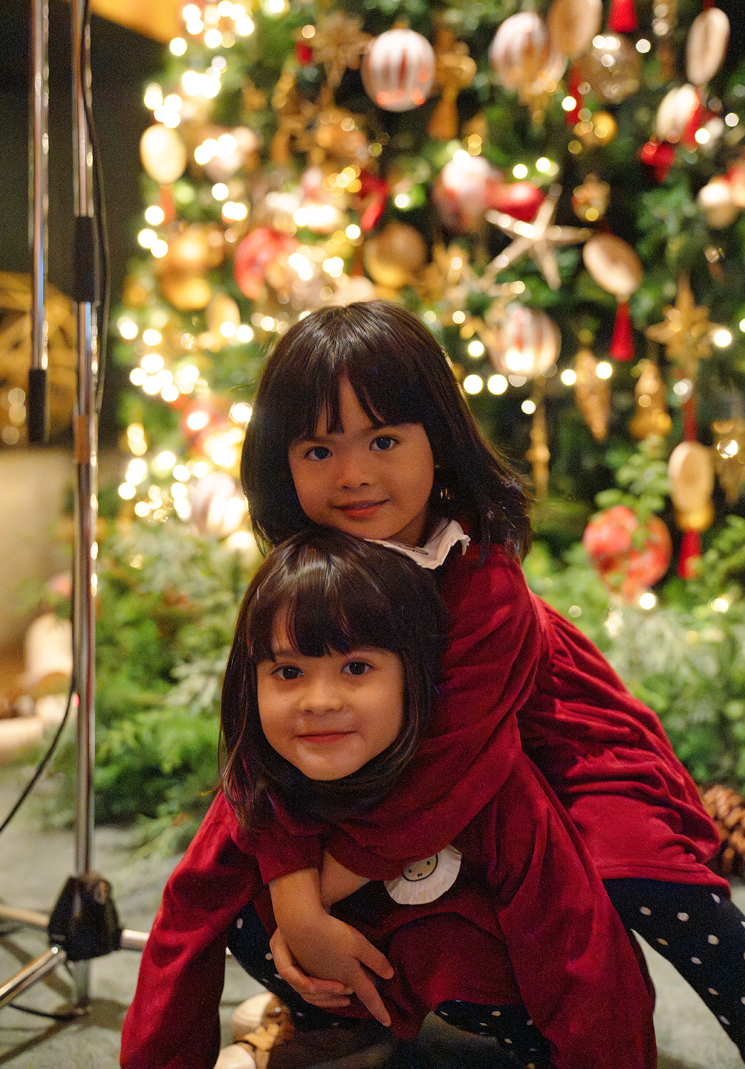 フォーシーズンズホテル京都 クリスマスツリー