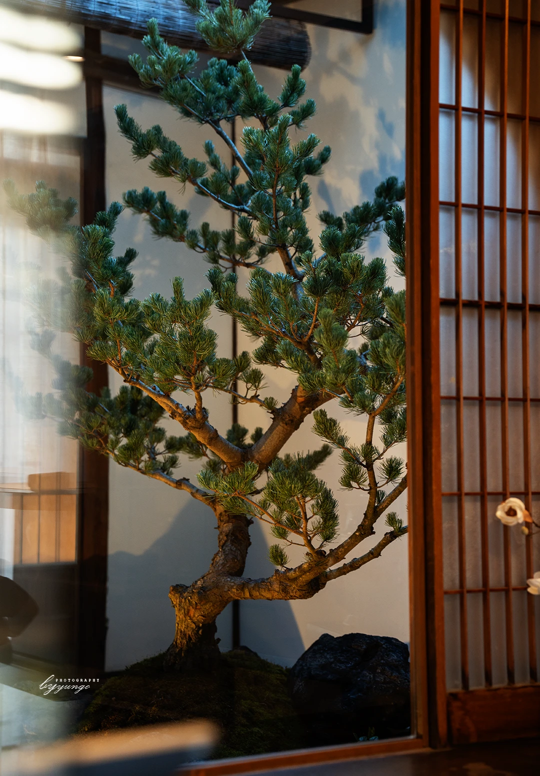 Hyde & Away 京都御所南店でタルトとお酒でカフェ時間