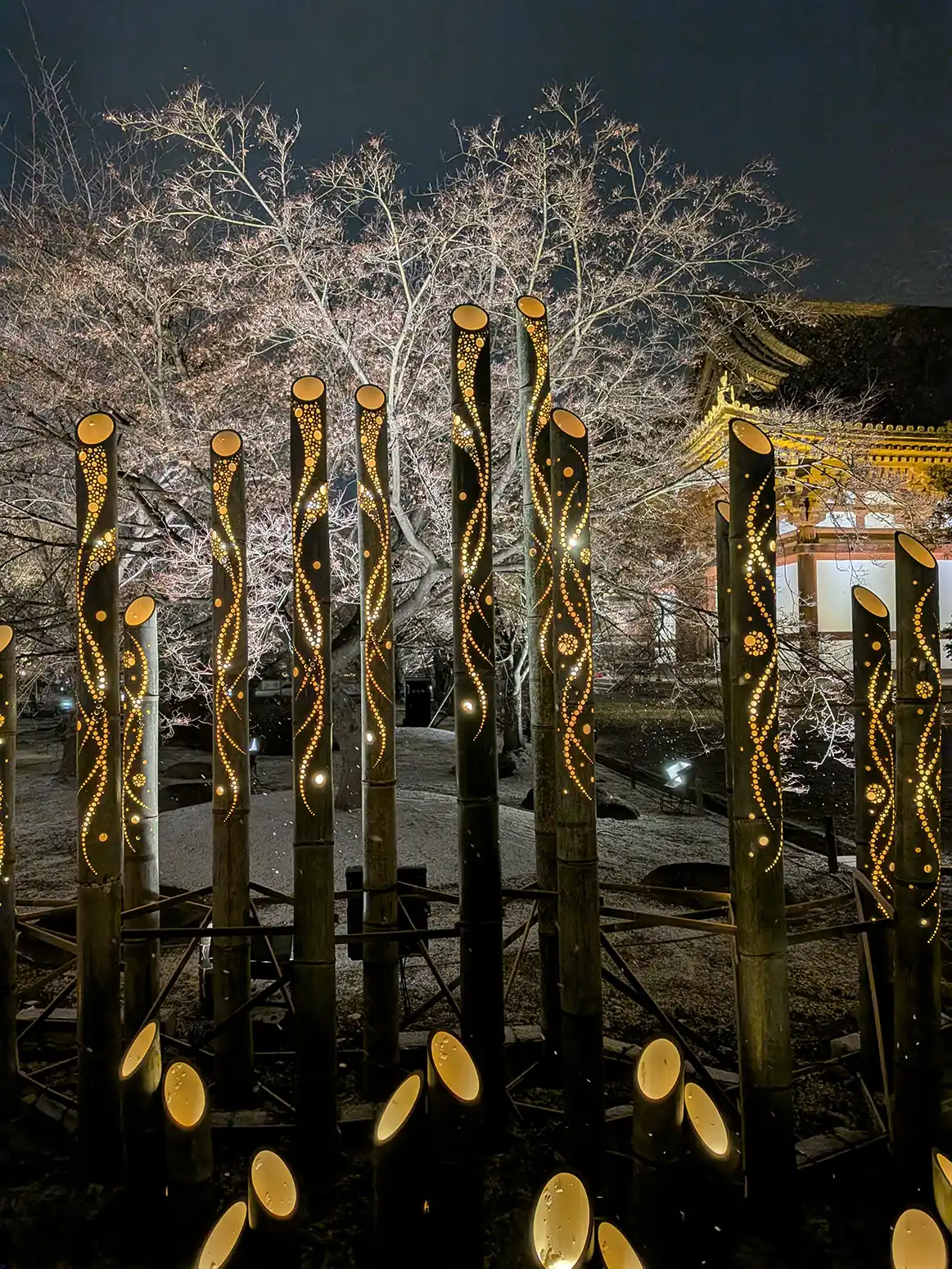 京都・東寺月回廊 2026に行ってきました【ライトアップイベント】