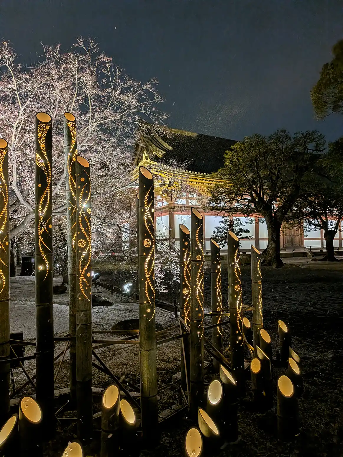 京都・東寺月回廊 2026に行ってきました【ライトアップイベント】