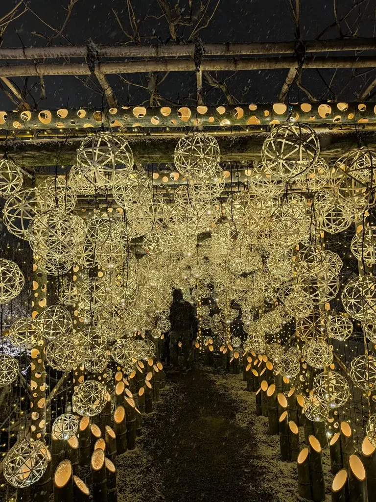 京都・東寺月回廊 2026に行ってきました【ライトアップイベント】