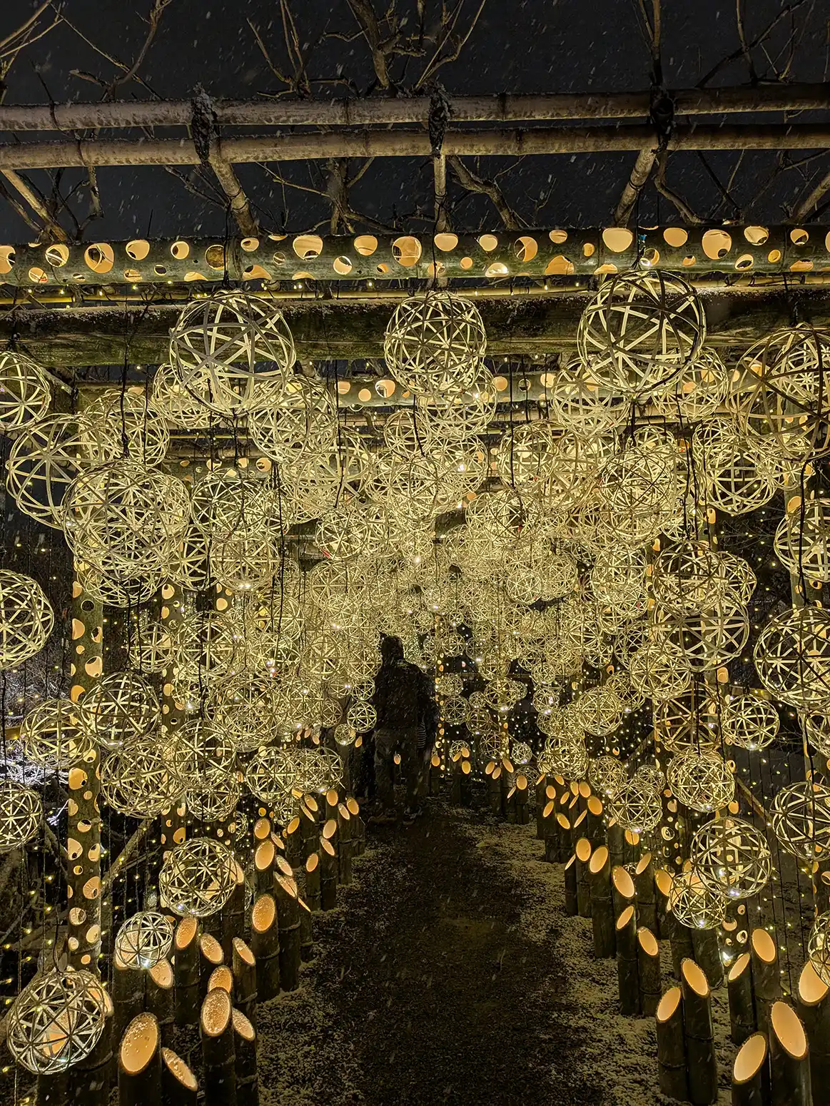 京都・東寺月回廊 2026に行ってきました【ライトアップイベント】