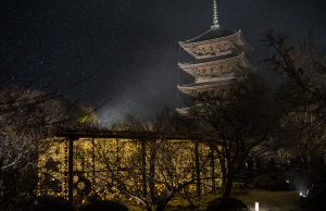 京都・東寺月回廊 2026に行ってきました【ライトアップイベント】